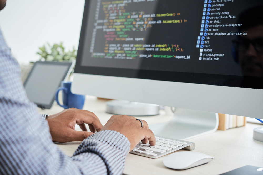 expert website development and SEO